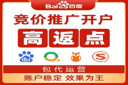 竞价SEM托管服务：成功案例揭秘